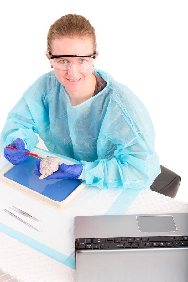 Patologista fêmea ou tecnólogo médico imagem de stock royalty free Patologista fêmea ou tecnólogo médico imagem de stock royalty free