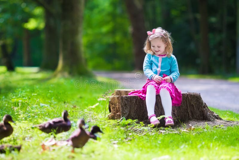 Niña pequeña alimentando patos en un parque foto de archivo libre de regalías