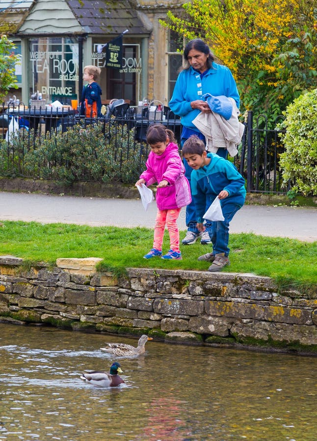 Patos de alimentação de uma família indiana em Bourton na água, Inglaterra imagens de stock Patos de alimentação de uma família indiana em Bourton na água, Inglaterra imagens de stock