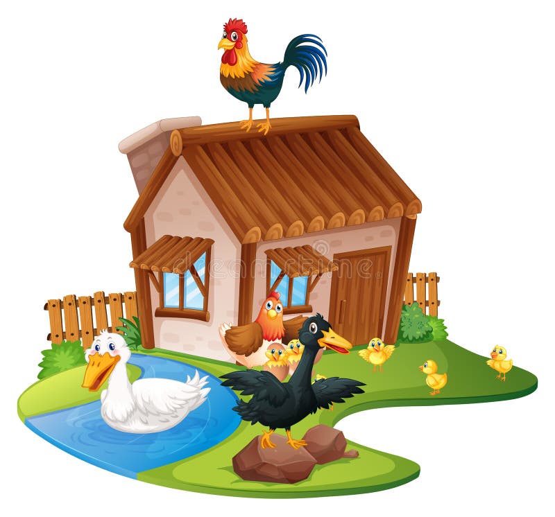 Patos e galinhas na exploração agrícola ilustração royalty free Patos e galinhas na exploração agrícola ilustração royalty free