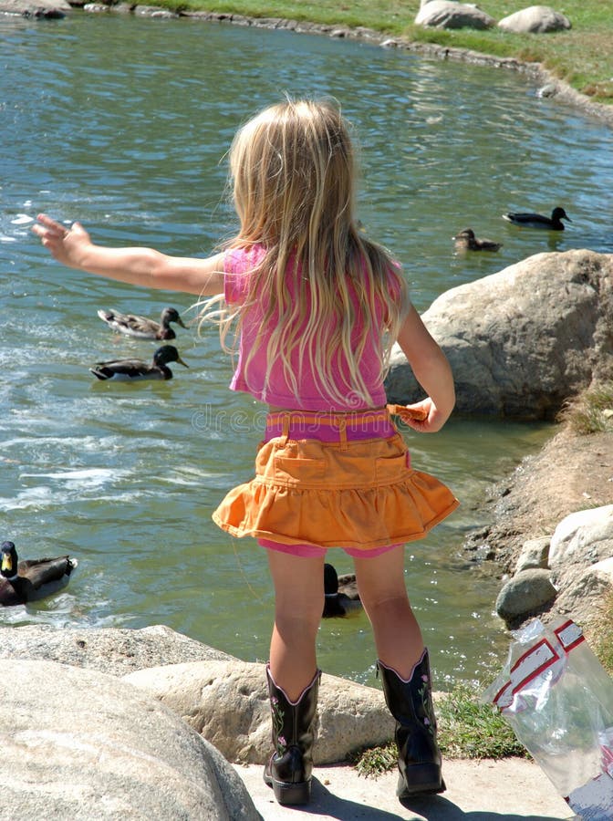 Niña pequeña alimentando patos fotos de archivo libres de regalías