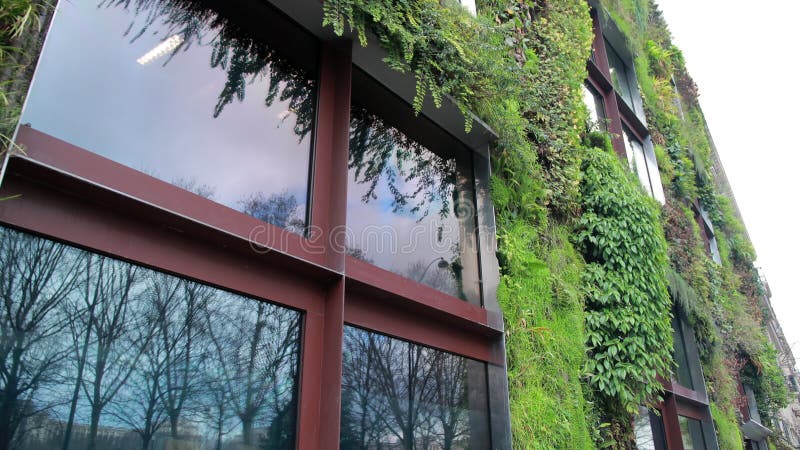 Le Mur Vegetal Garden, Quai Branly museum, Living Wall, Jean Nouvel