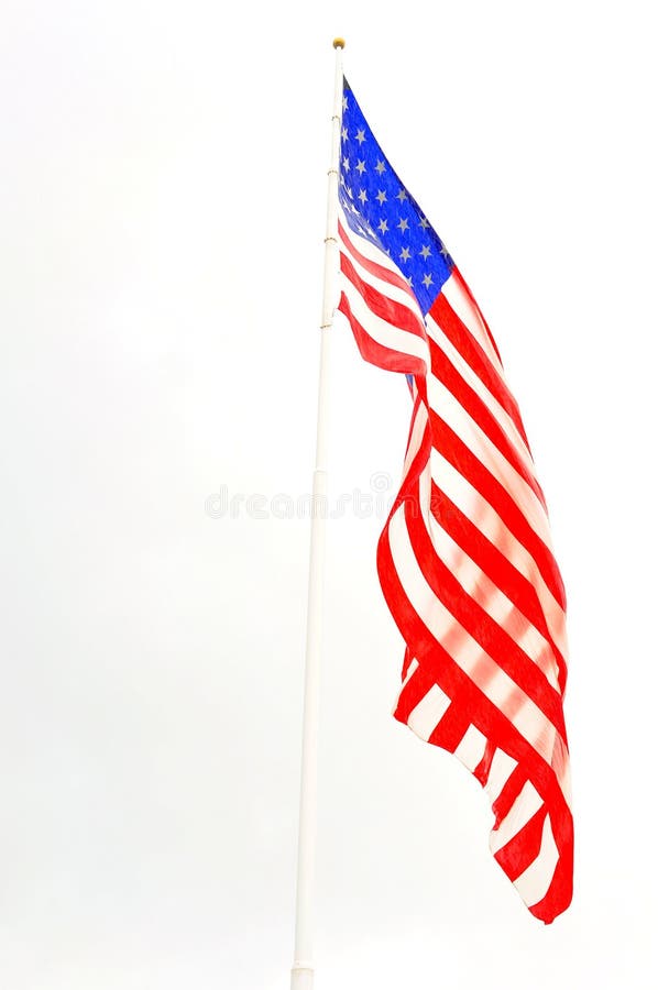 Patriotic Image Flowers and American Flag Stock Photo Image of flag