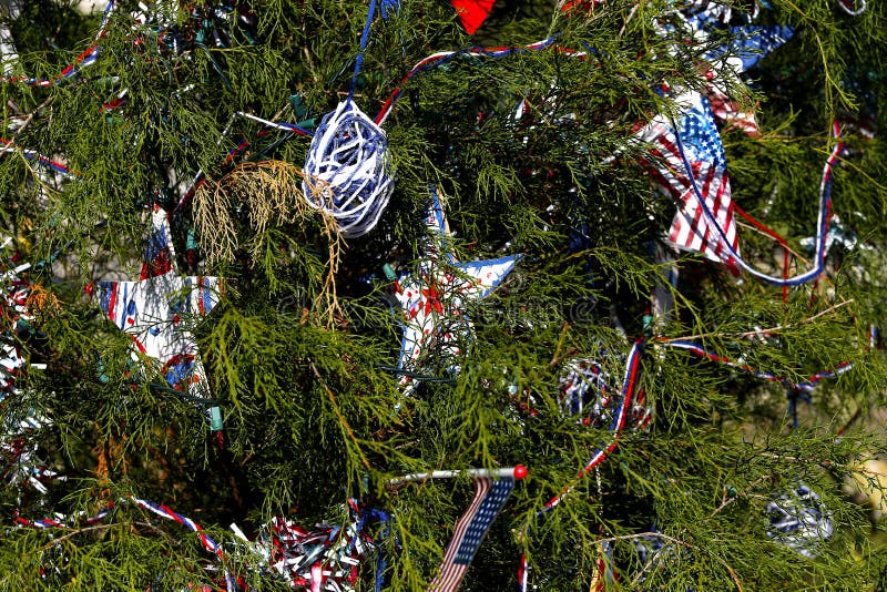 Patriotiskt julträd i Fort Myers, Florida, USA fotografering för bildbyråer Patriotiskt julträd i Fort Myers, Florida, USA fotografering för bildbyråer
