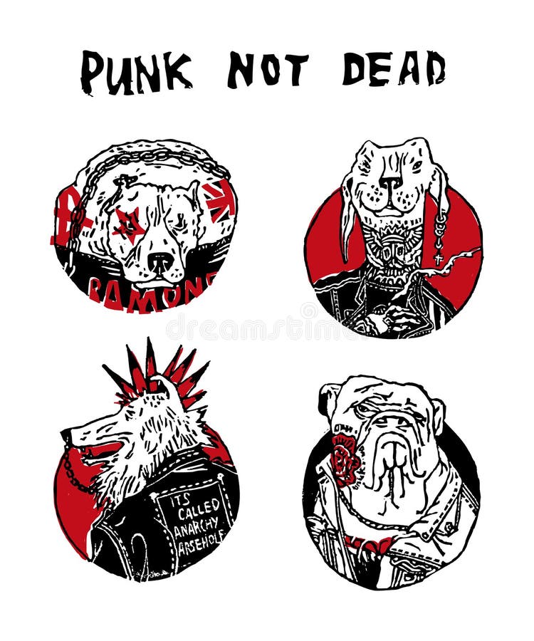 Patru portrete de câini punk. ilustrațiile color sunt adecvate pentru decorare și ca poster independent sau pe tricou. royalty free illustration