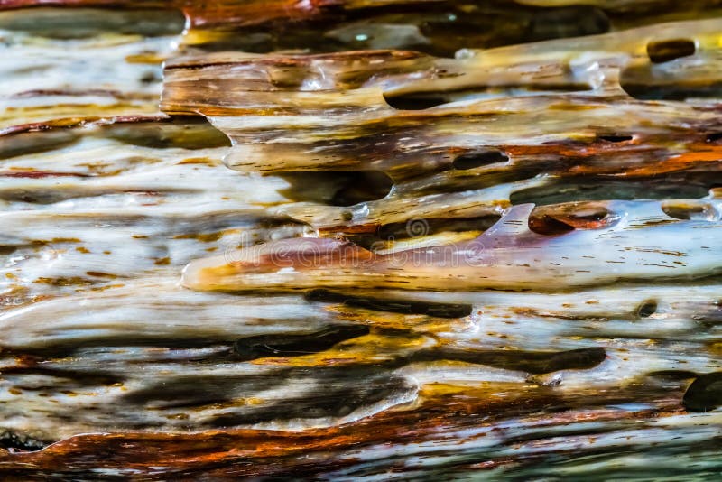 Patrón de líneas coloridas sobre un cristal natural foto de archivo libre de regalías