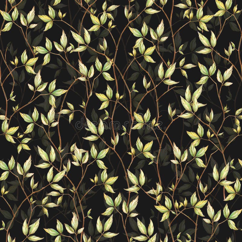 Patrón floral sin fisuras con hojas de rama sobre fondo negro, dibujado con lápices de colores ilustración del vector Patrón floral sin fisuras con hojas de rama sobre fondo negro, dibujado con lápices de colores ilustración del vector