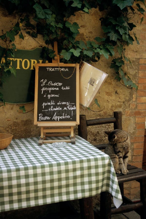 A cat checking out a trattoria in Tuscany, Italy. A cat checking out a trattoria in Tuscany, Italy