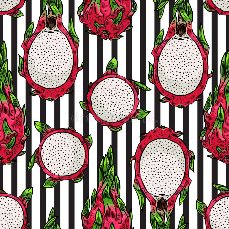 Patrón a rayas sin fisuras de Pitaya libre illustration Patrón a rayas sin fisuras de Pitaya libre illustration