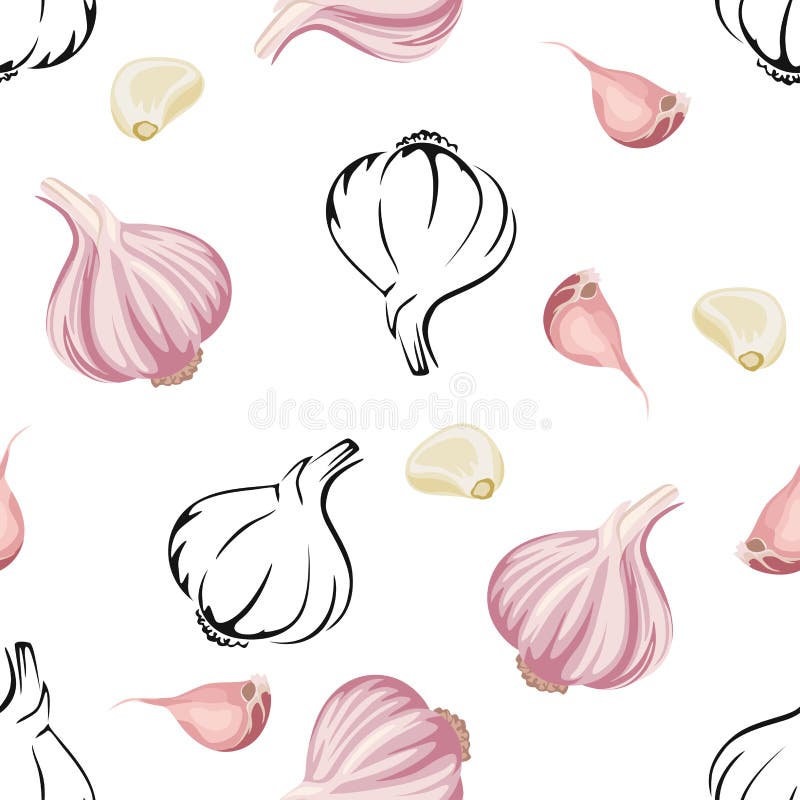 Patrón sin fisuras de ajo Ilustración de color vectorial de la bombilla de ajo y de los tejidos sobre un fondo blanco ilustración del vector