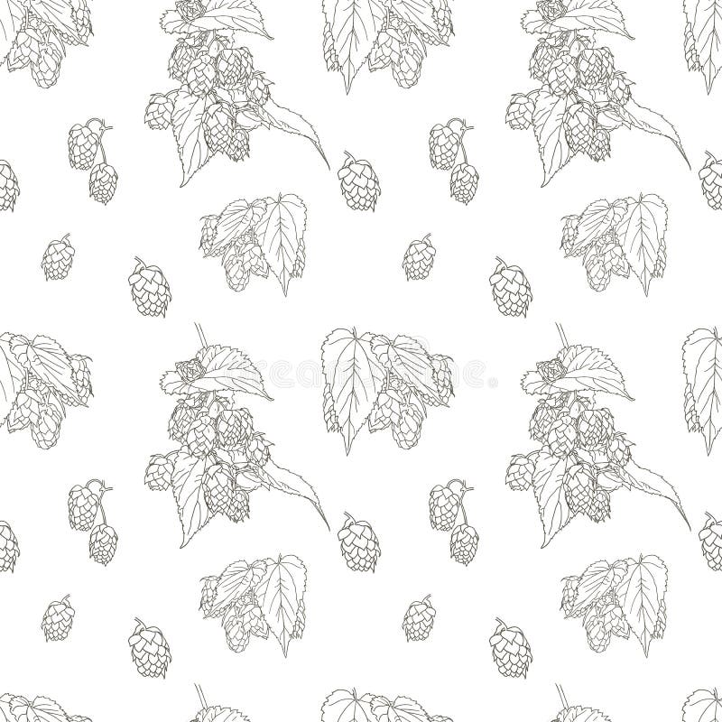 Patrón sin fisuras vectorial con lúpulo dibujado a mano planta sobre fondo de fondo gráfico de fondo blanco plantilla de ingredien stock de ilustración