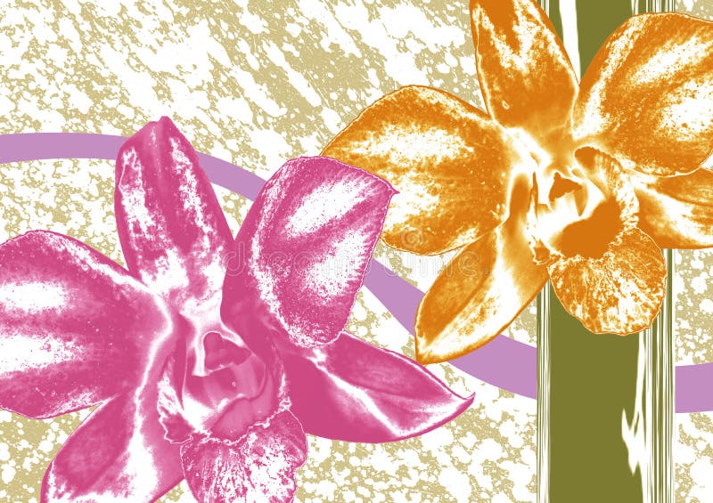 Pattern royalty free stock image