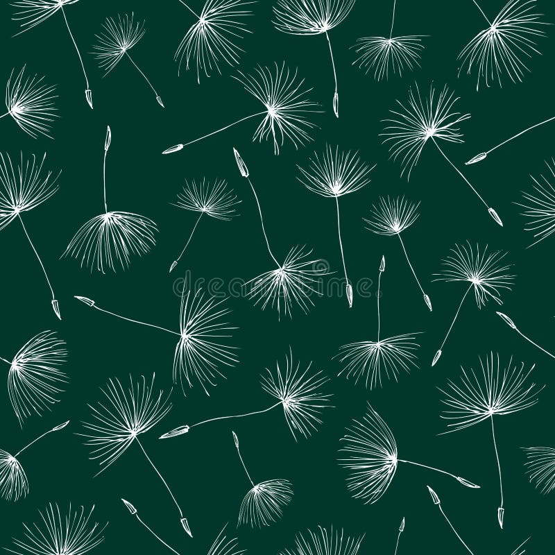 Pattern of the dandelions seeds