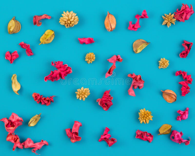 Pattern From Dried Flowers, Exotic Plants On Blue Background. Top View, Flat Lay.