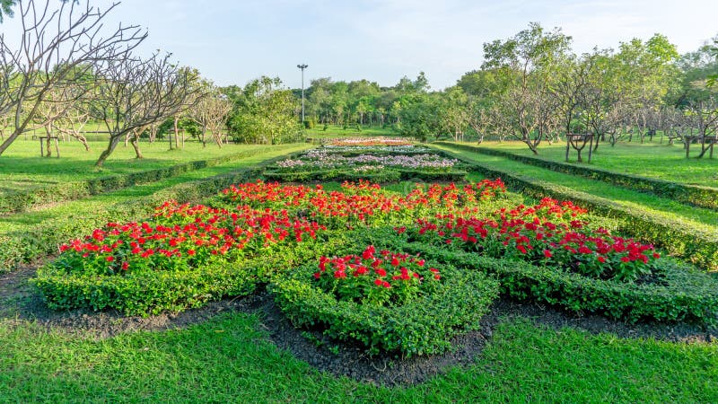 Pattern of English formal garden style, red Madagascar periwinkle and colorful flowering plant blooming in a green leaf stock images Pattern of English formal garden style, red Madagascar periwinkle and colorful flowering plant blooming in a green leaf stock images