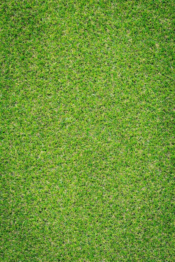 Pattern of green artificial grass texture and background royalty free stock photos