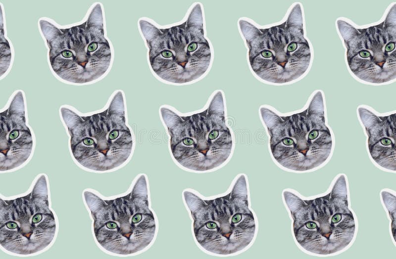 cats collage background