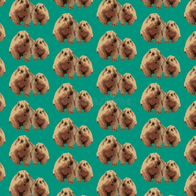 Pattern groundhog