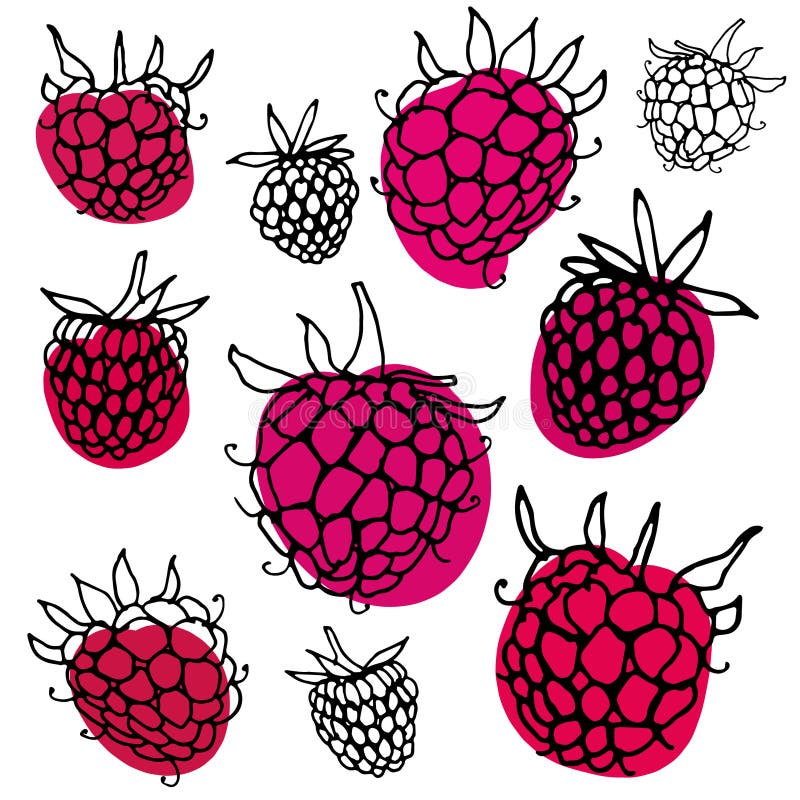 Рисунок малина вектор