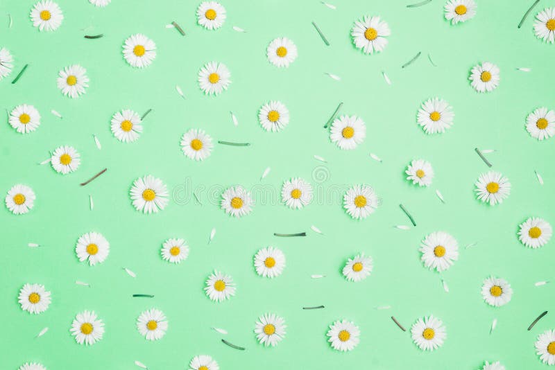 Green Pastel Background Stock Photo Picture And Royalty Free Image Image 28158265