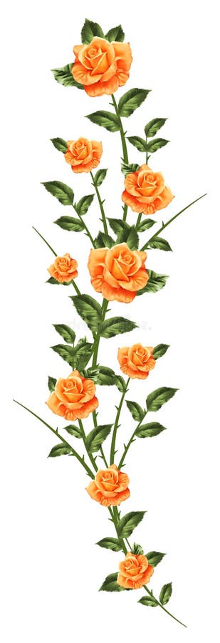 Pattern of painted roses vector illustration
