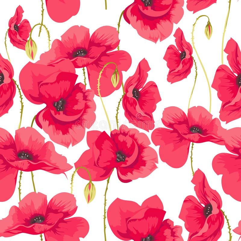 Pattern of poppy flowers