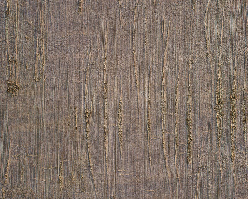 Pattern and structure of beech bark. royalty free stock photo