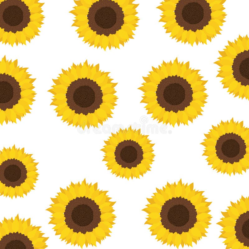 Download Pattern Of Sunflowers Isolated Icon Stock Vector ...