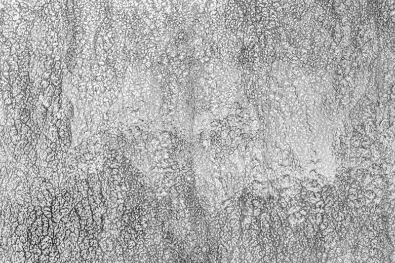 Pattern of Transparent Glass Pane Stock Image Image of transparent