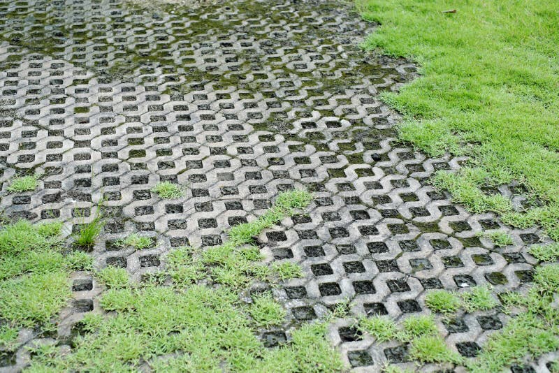 Patterned Paving Tiles, Cement Brick Floor Background Stock Image
