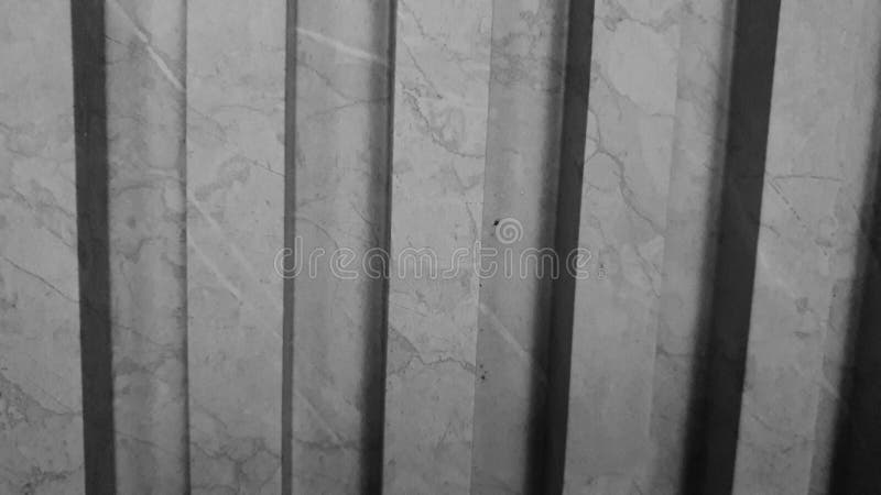 With Patterned Walls the Room Looks Beautiful Stock Image Image of