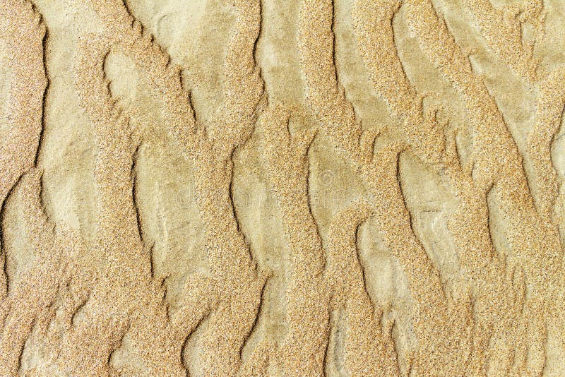 Patterns of erosion of sand in the background