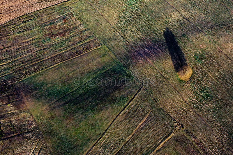 Patterns in the farmland fields at spring royalty free stock image