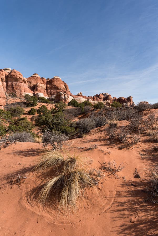 Patterns in the Red Soil - Canyonlands National Park Needles District Utah stock photos Patterns in the Red Soil - Canyonlands National Park Needles District Utah stock photos