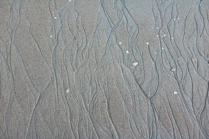 Sand background.The patterns of water erosion sand on the beach.