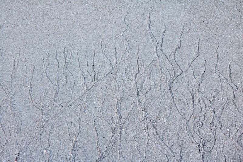 Sand background.The patterns of water erosion sand on the beach.