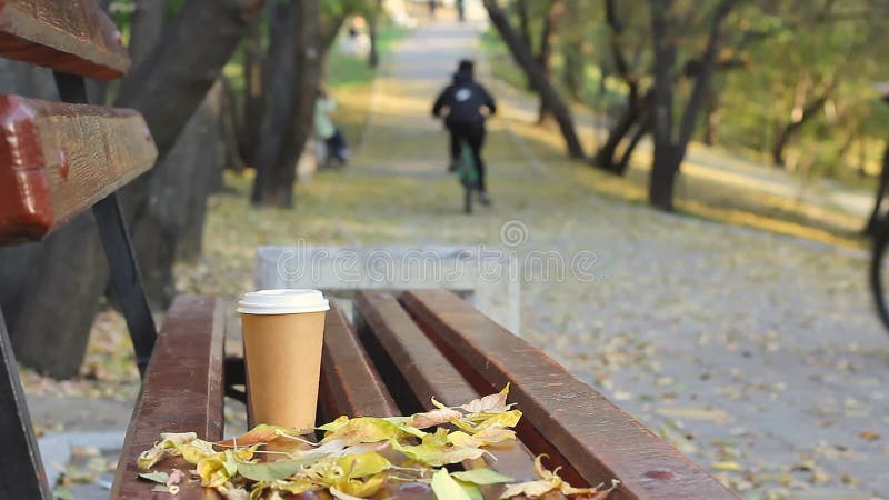 Pause café sur le banc vide dans les garçons brouillés du parc deux de la ville d'automne sur vélos au passage du parc public sur banque de vidéos