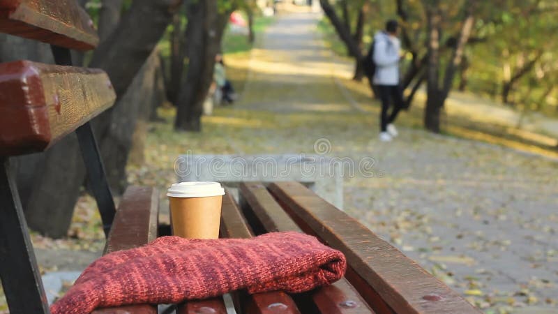 Pause café sur le banc vide dans le parc de la ville d'automne, mâle adolescent floue au passage du parc public sur le fond clips vidéos