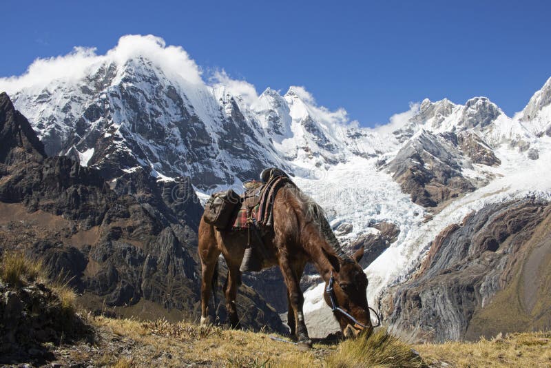 Pause de midi dans les montagnes des Andes photos libres de droits Pause de midi dans les montagnes des Andes photos libres de droits
