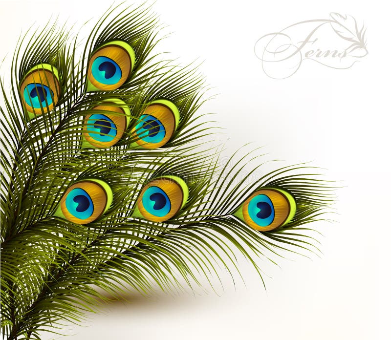 Cute vector background with green peacock ferns on white. Cute vector background with green peacock ferns on white