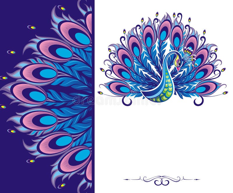 Vector illustration with decorative peacock. Vector illustration with decorative peacock