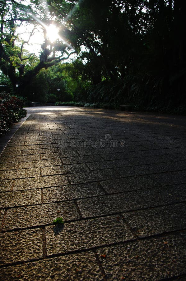 Paved road in natures