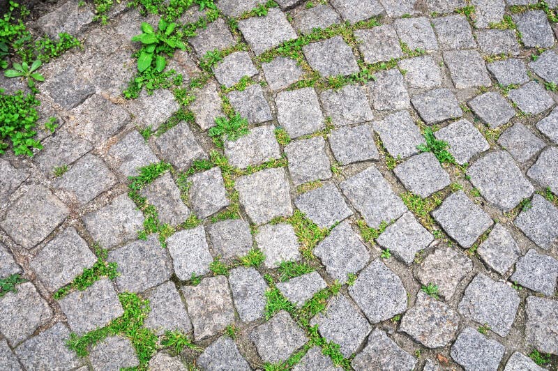 Pavement with grass royalty free stock images
