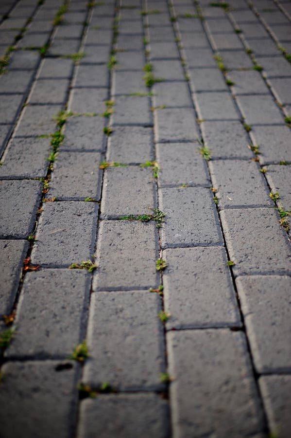 Pavers stock photo. Image of brick, isometry, playground 42696890