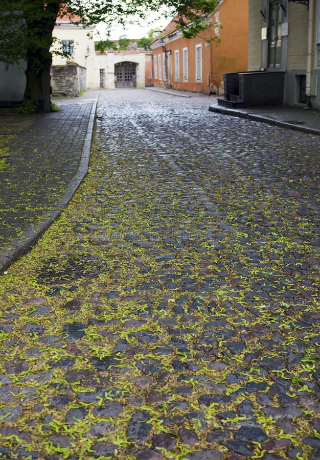 Stacked pavement and impressive brick walls. Old city, Tallinn, Estonia. Stacked pavement and impressive brick walls. Old city, Tallinn, Estonia.