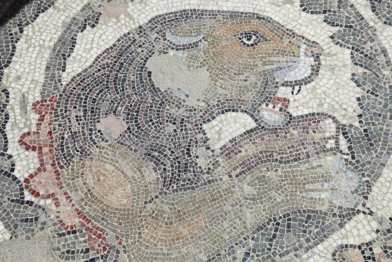 Uomo Scozzese Abito Semi Gonnellino Scozzese Cardo Crest - Foto 6