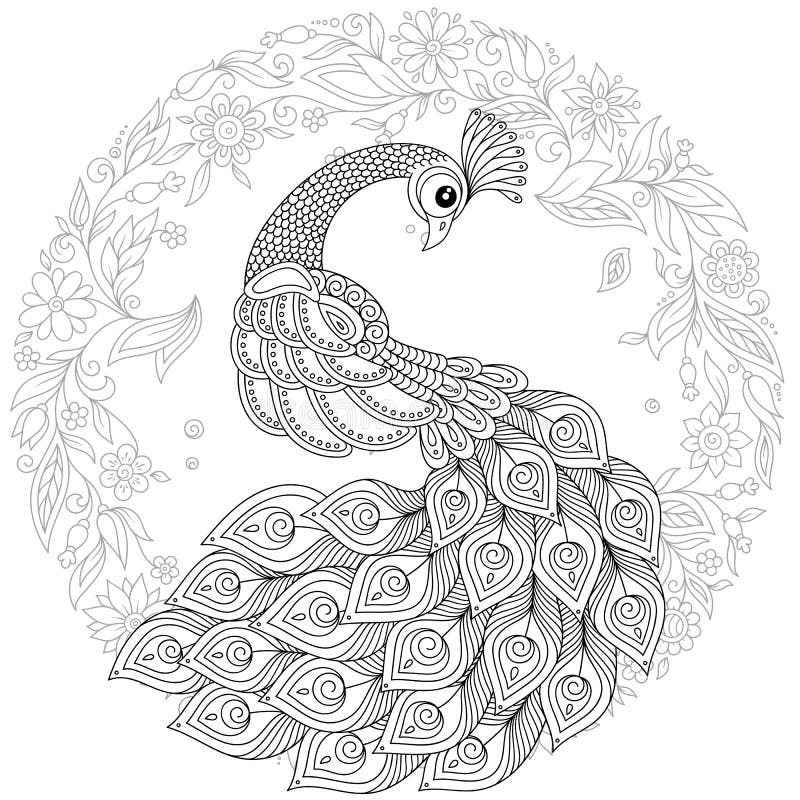 Pavone nello stile dello zentangle Pagina antistress adulta di coloritura illustrazione di stock Pavone nello stile dello zentangle Pagina antistress adulta di coloritura illustrazione di stock
