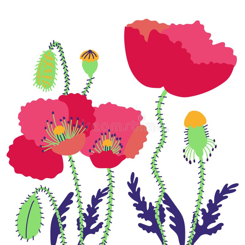 Pavots de composition florale Fleurs lumineuses d'été de champ avec des bourgeons illustration libre de droits Pavots de composition florale Fleurs lumineuses d'été de champ avec des bourgeons illustration libre de droits