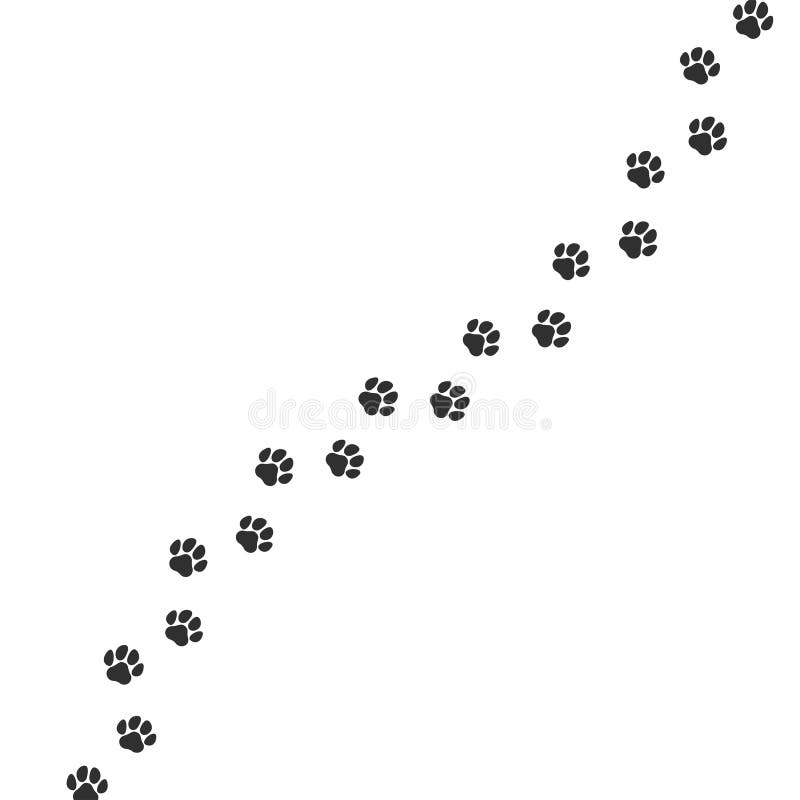 Predator footprint wild animals paw prints cat Vector Image