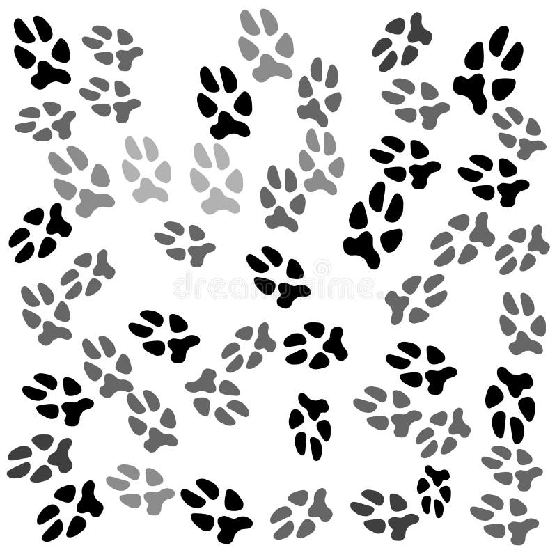Paw Prints Picture. Image 18701617